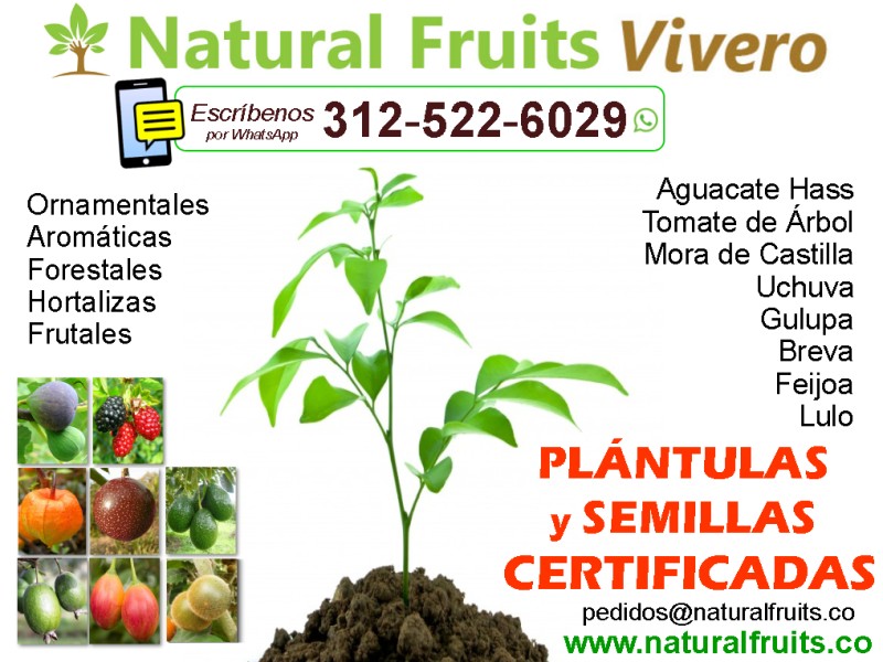 Plantulas y Semillas Certificadas