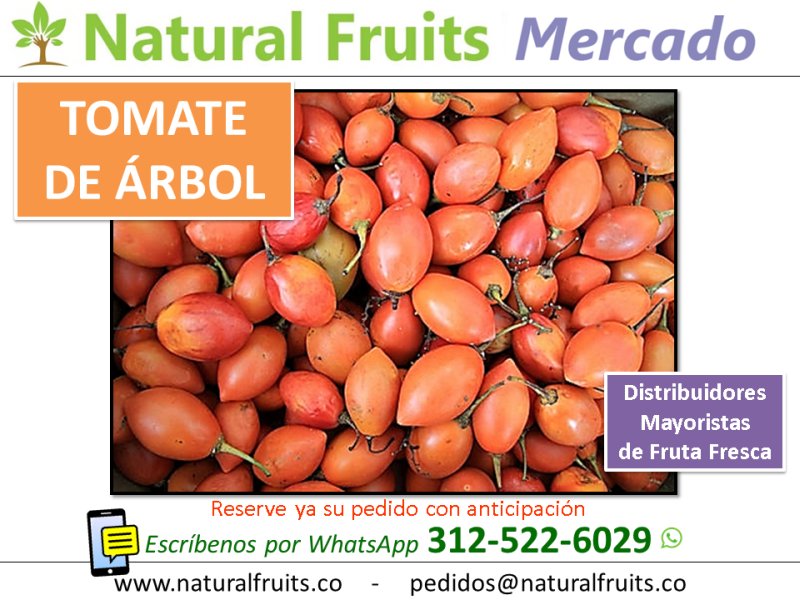  distribuidor comercializador mayorista  fruta fresca tomate de árbol vende por mayor
